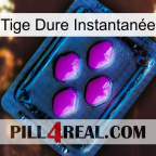 Tige Dure Instantanée 04